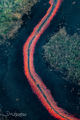 Red River print