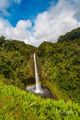 Akaka Falls print