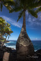 Kalapana Palm print
