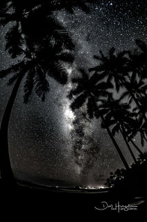 Black Sands Nights