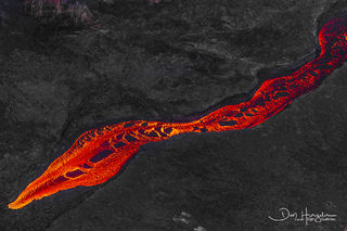 Lava snake