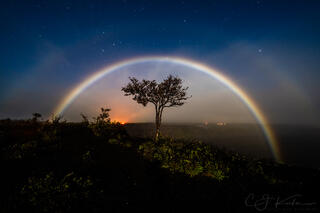 Double Moonbow Over Tree 50