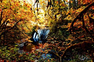 Falls Framed in Fall