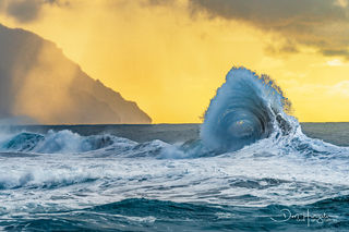 Kauai Barrel