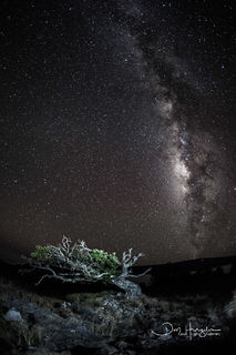Mauna Loa Milky Way