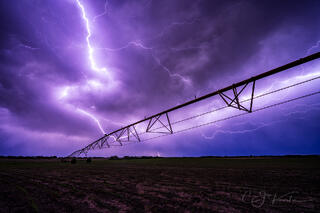 Night Crawler Nebraska