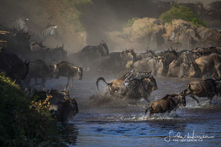 The Crossing
