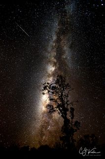 Vastness