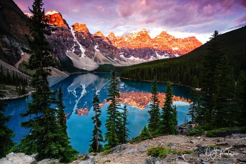 Images from Around the World