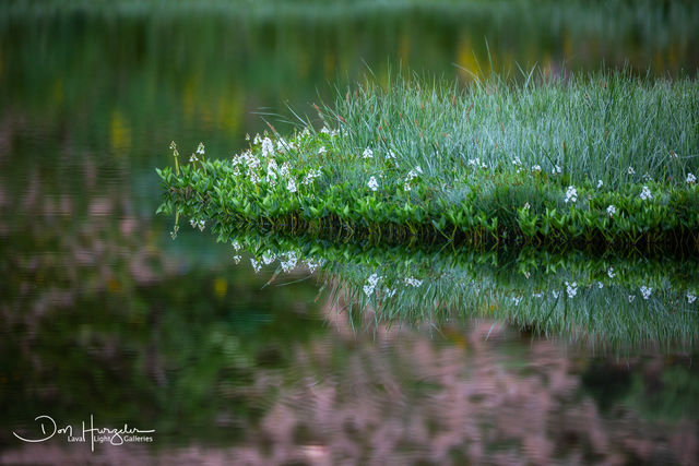 Meadow Reflection print