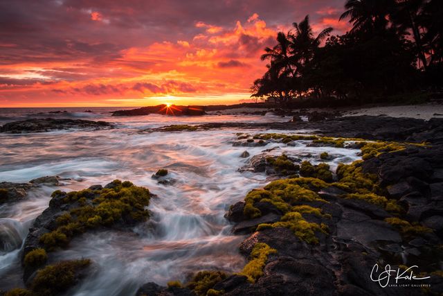 Alii Sunset print