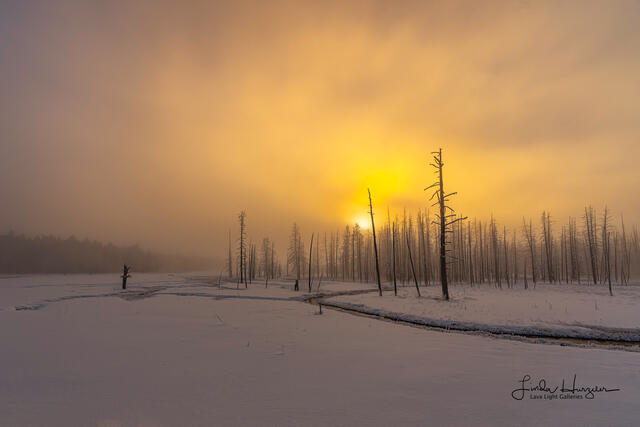 Golden Winter Sky print