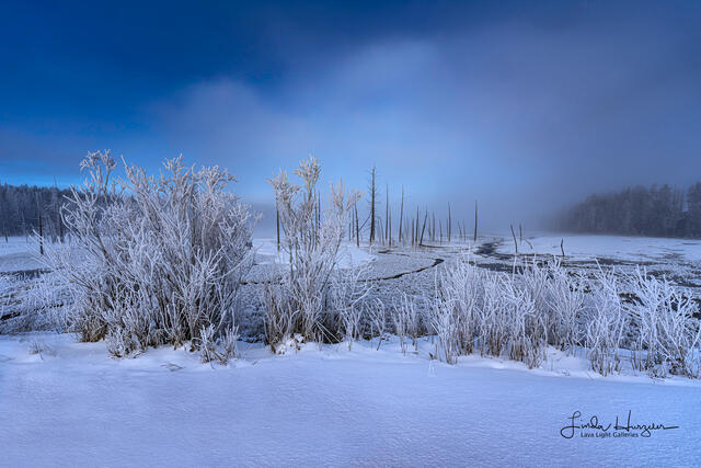 Cold Winter Morning print