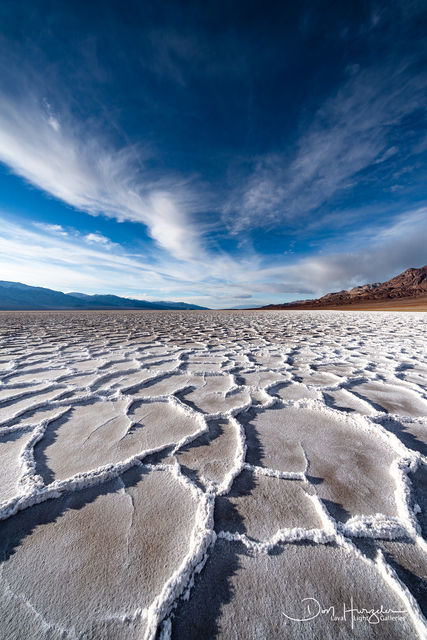 Salt Patterns print