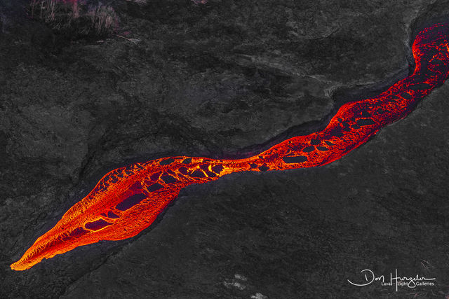 Lava snake print