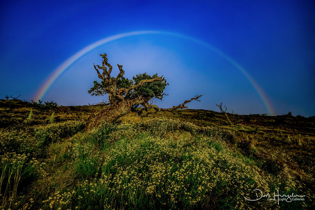 Mauna Kea Rainbow print