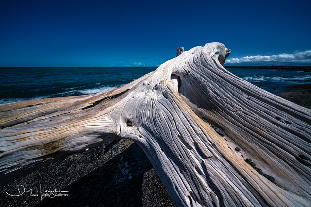Kiholo Driftwood print