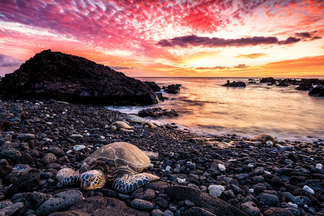 Fire On The Rocks print