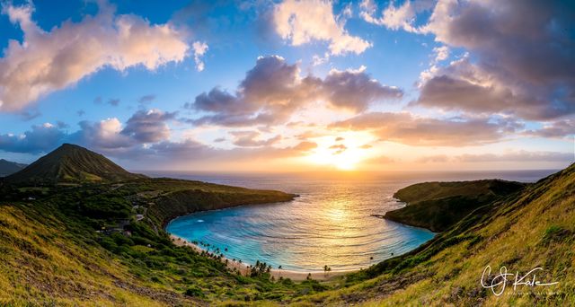 Hanauma Beauty print