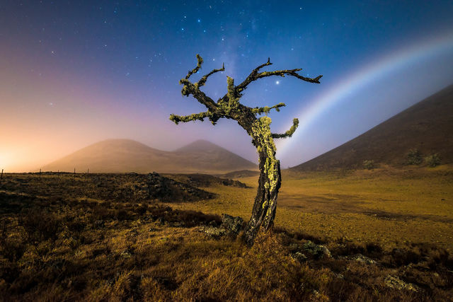 Moonbow Dream print