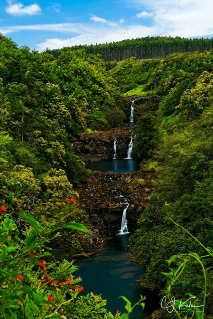 Umauma Color print