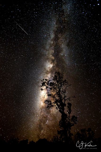 Vastness print