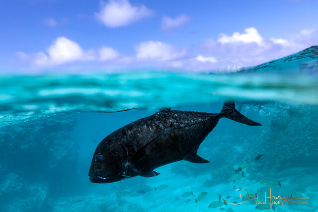 Sky Above/Ulua below print