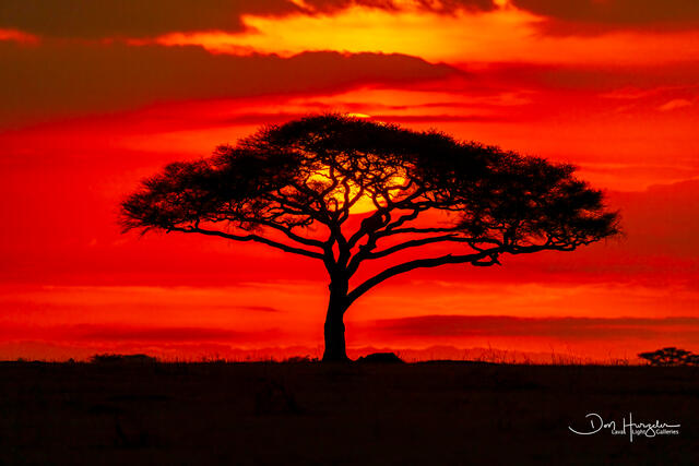 Red Sunrise print