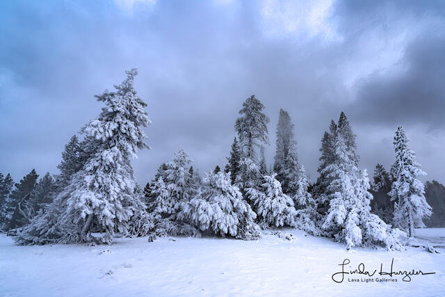 Winterwonderland print