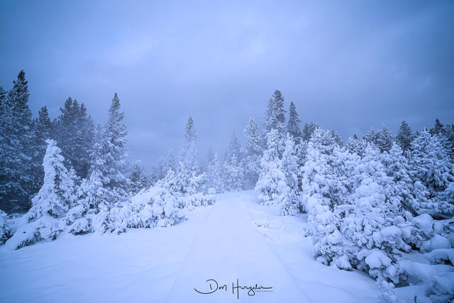 A Winters Day print
