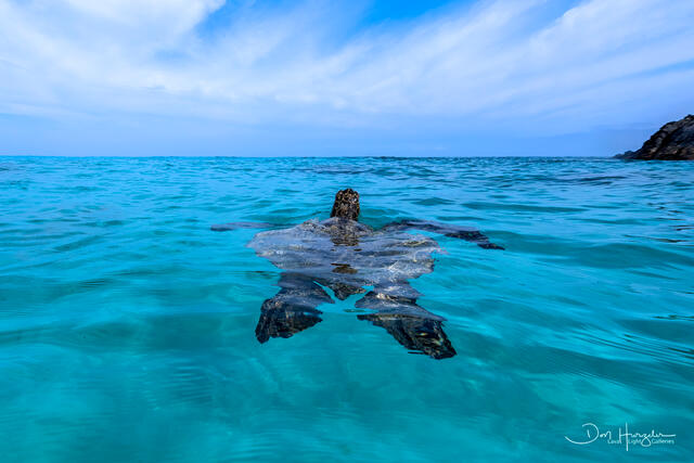 And breathe print