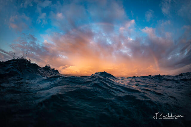 Night Manta Rainbow print