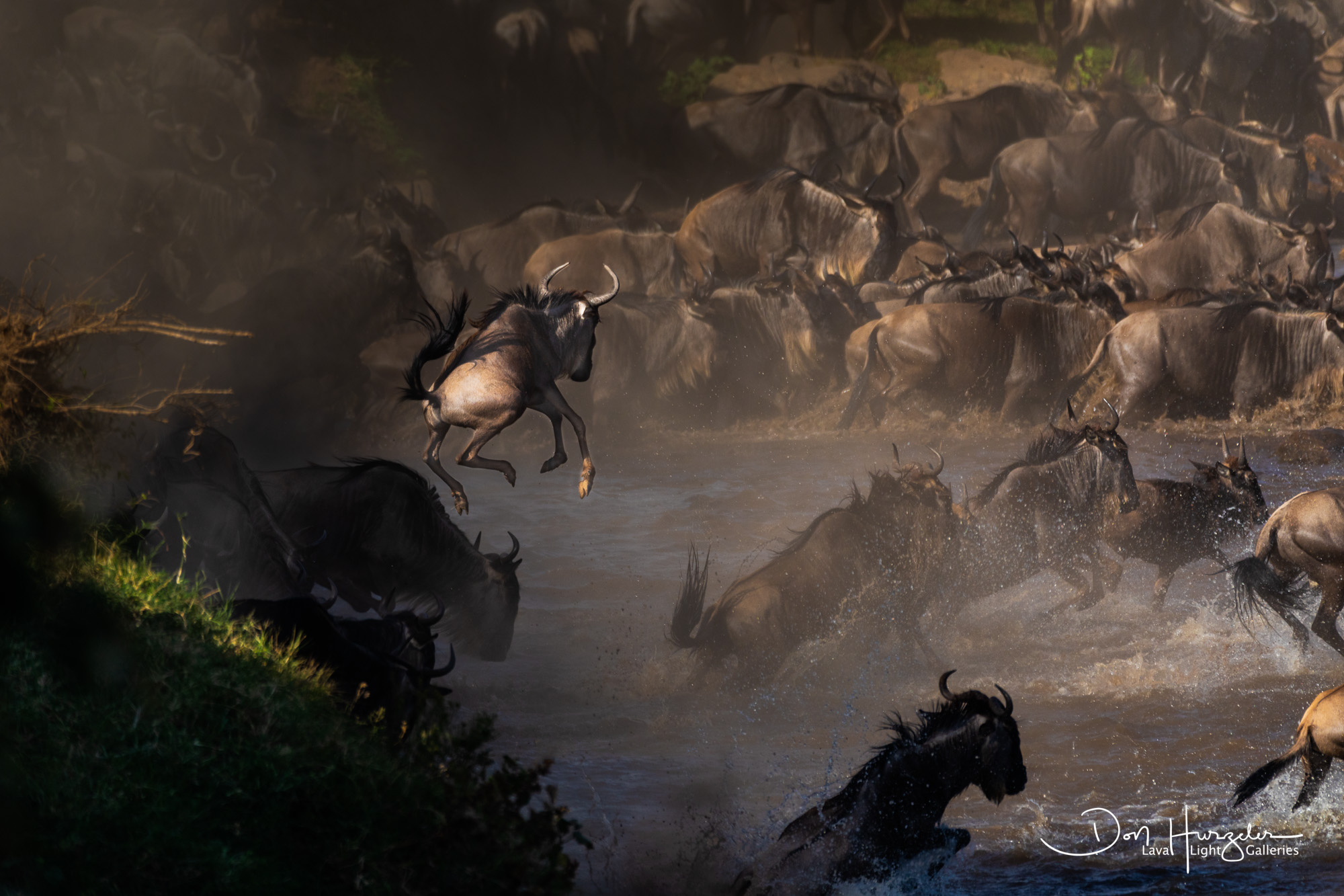 Africa, Serengeti, Tanzania, African Wildlife