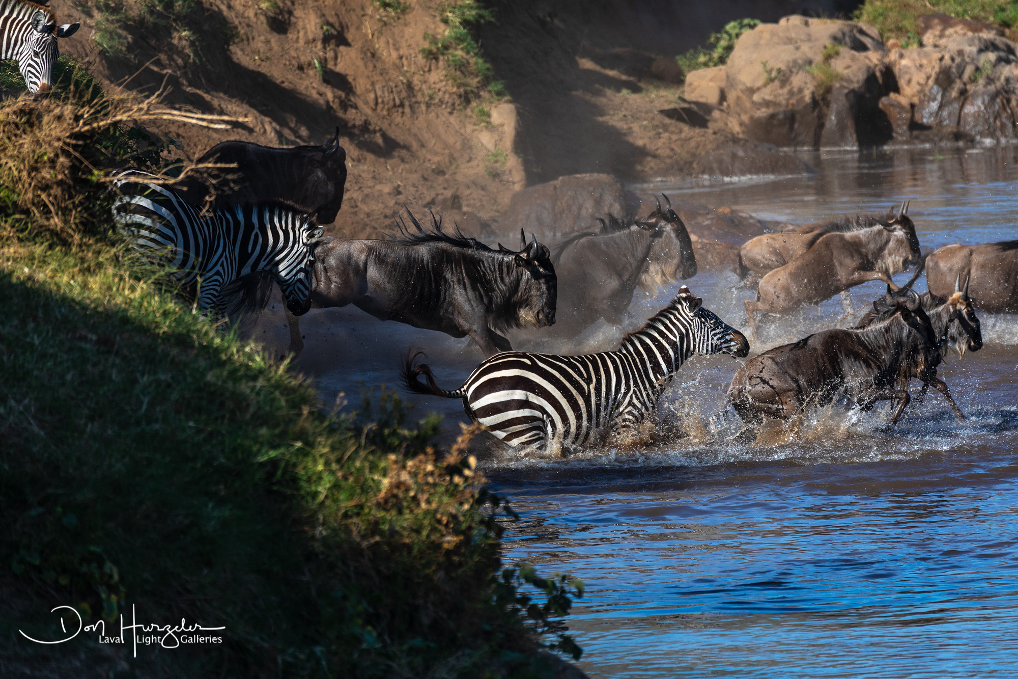 Africa, Serengeti, Tanzania, African Wildlife