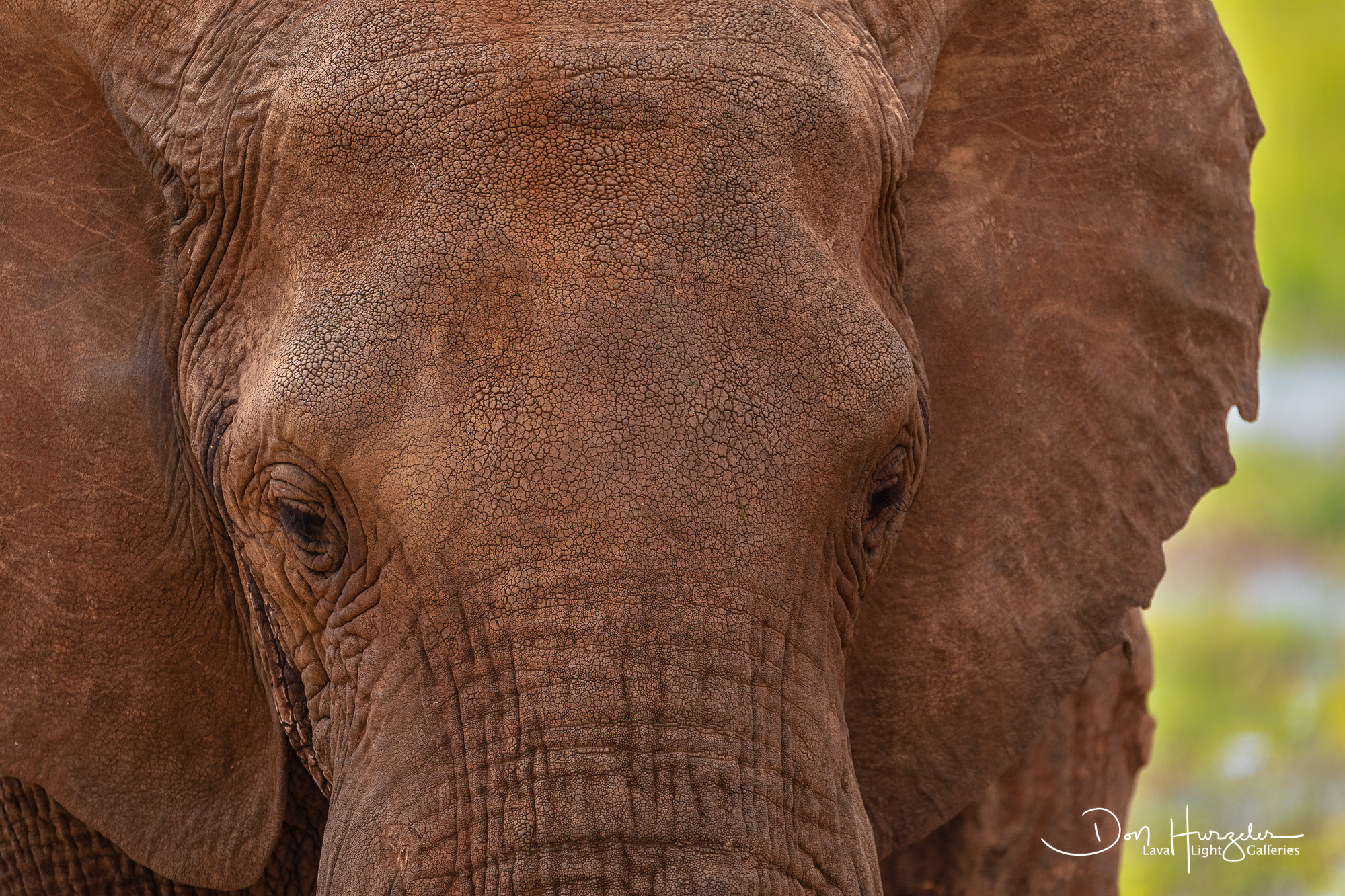 Africa, Serengeti, Tanzania, African Wildlife