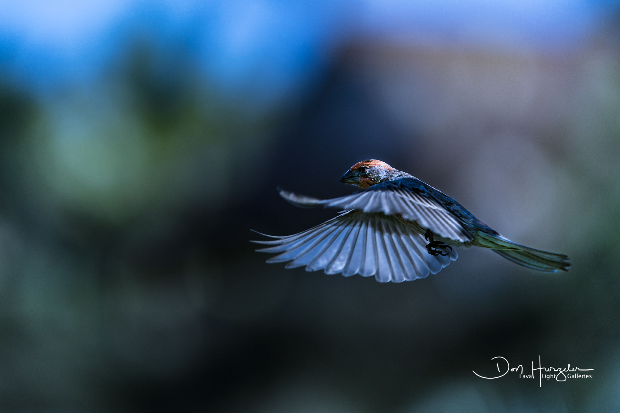 Landing.