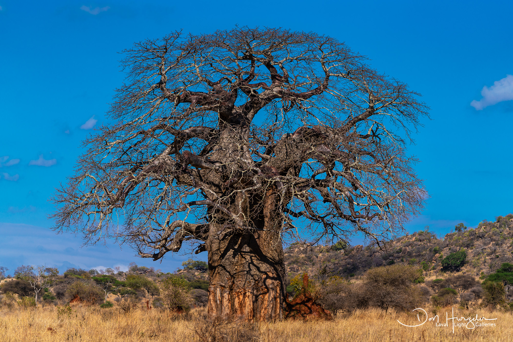 Africa, Serengeti, Tanzania, African Wildlife