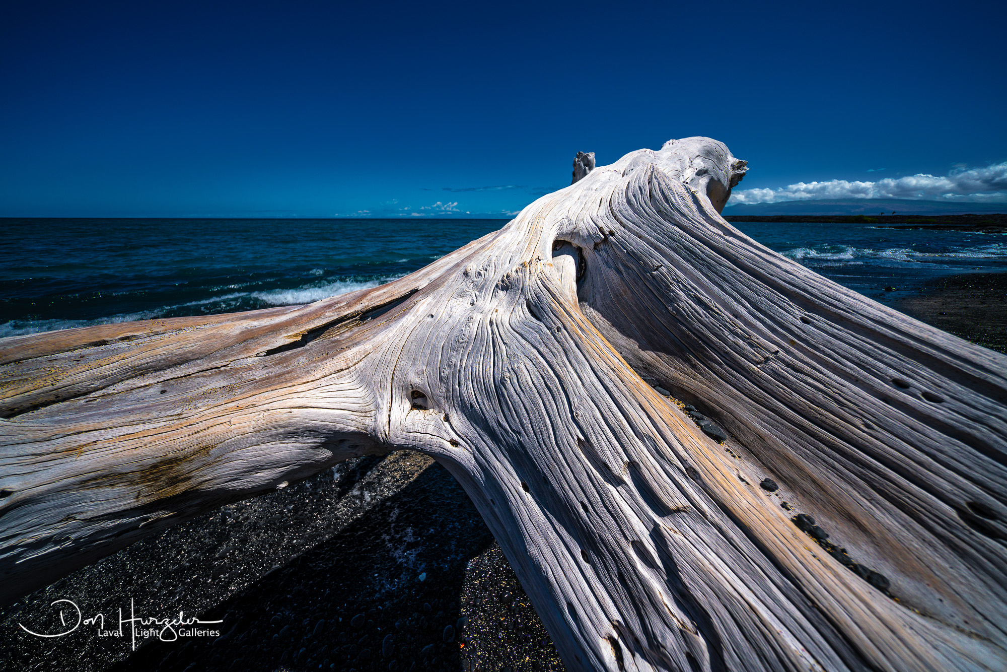 Kiholo Driftwood