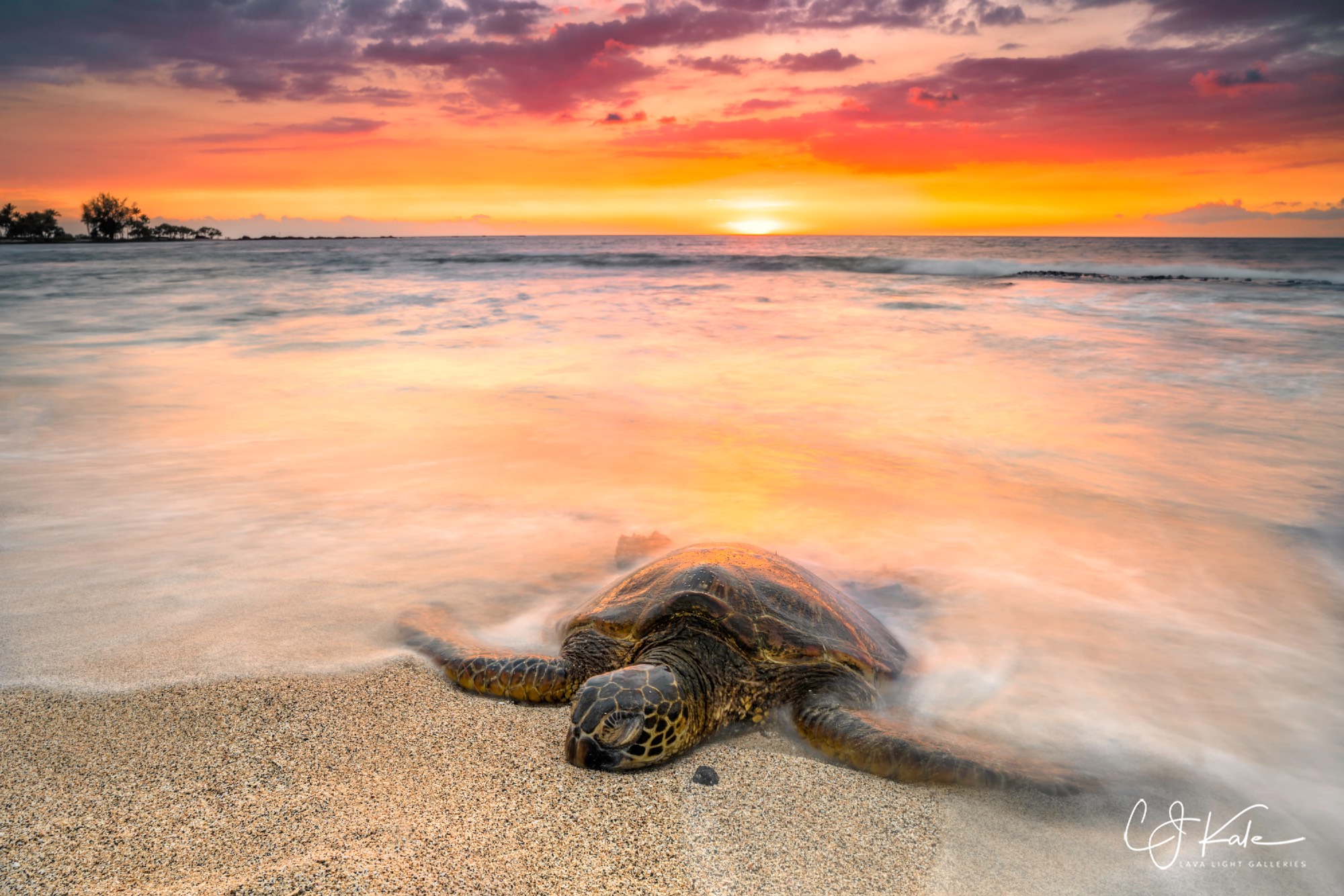 Sunset on the honu.