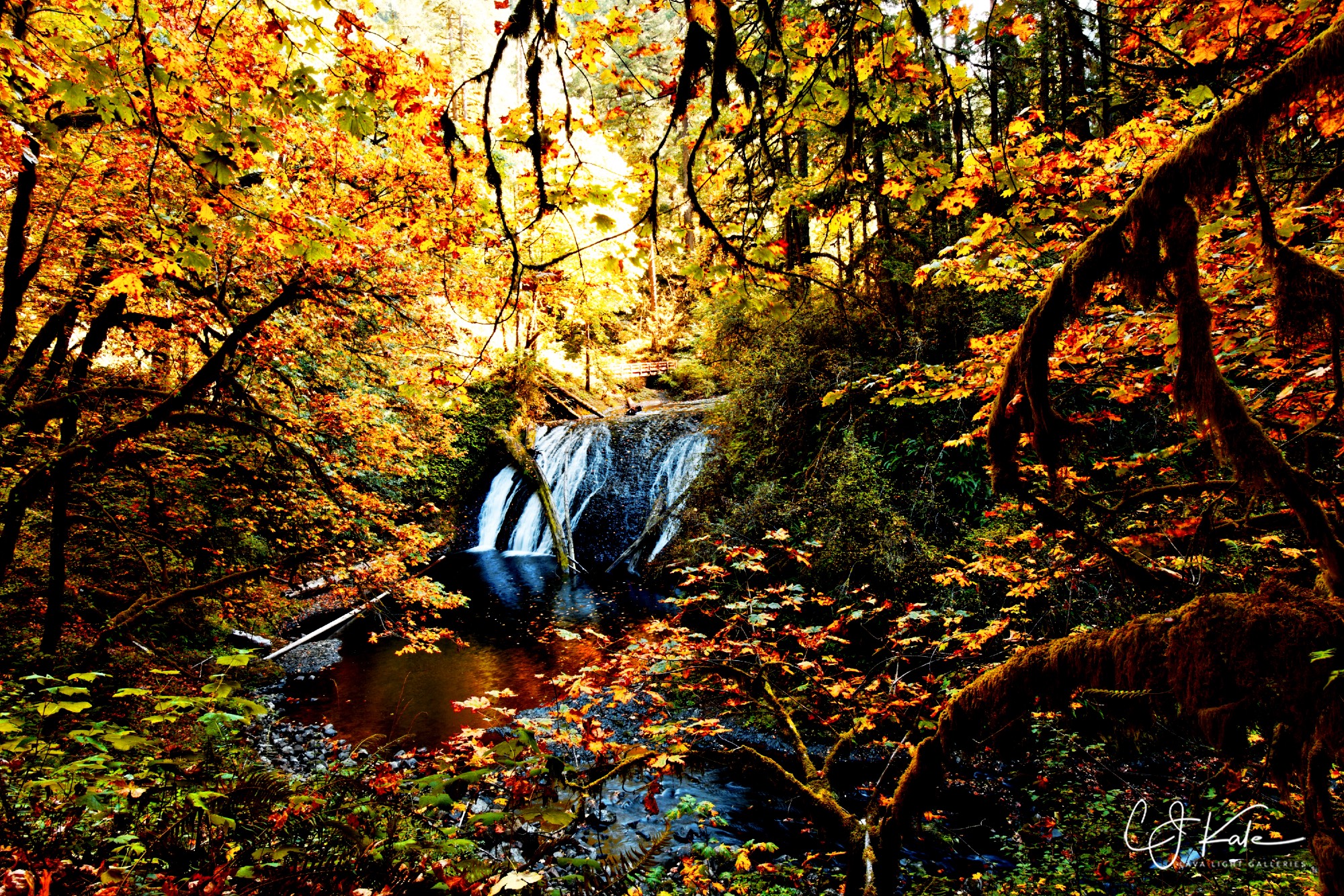 Falls Framed in Fall