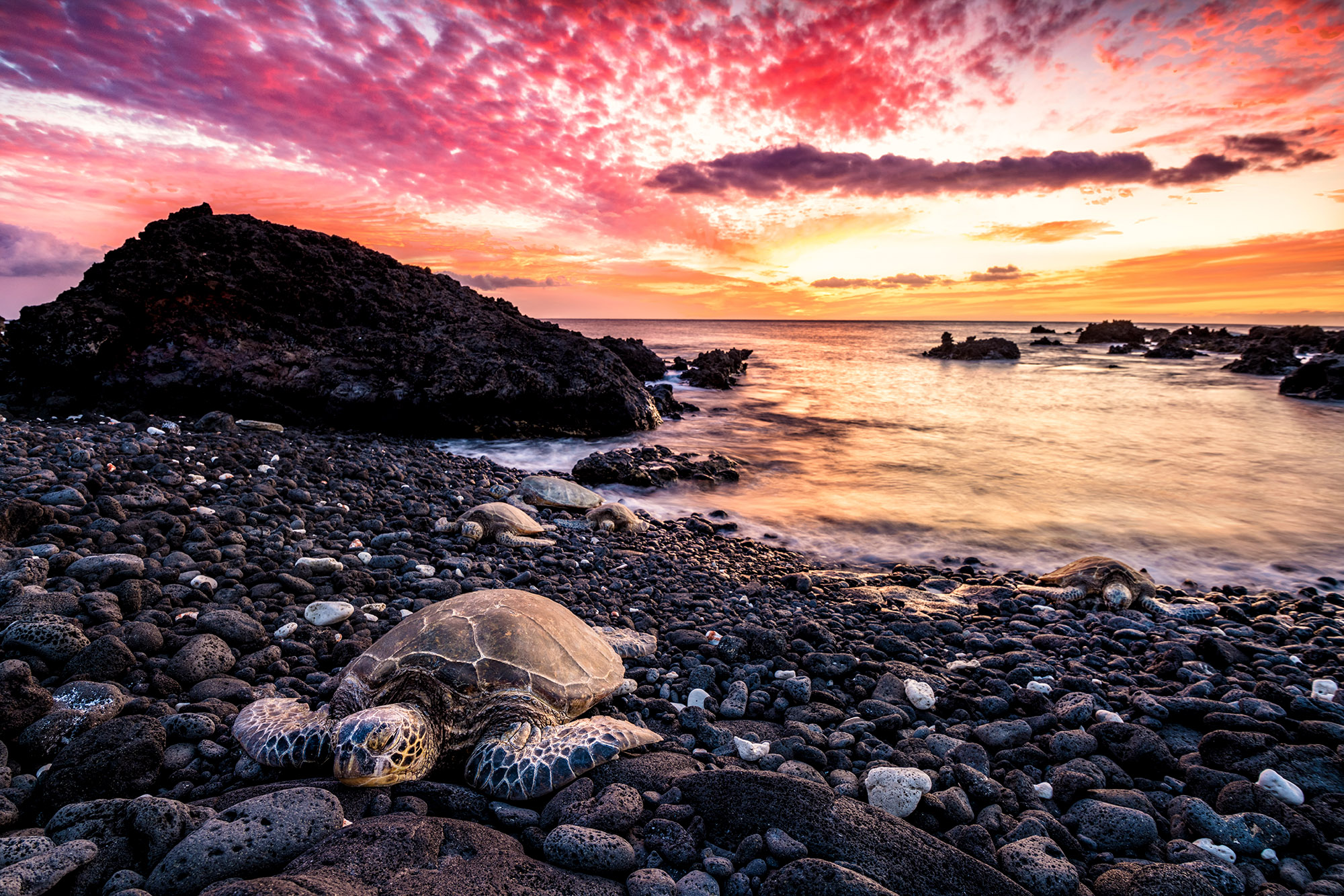 Fire On The Rocks