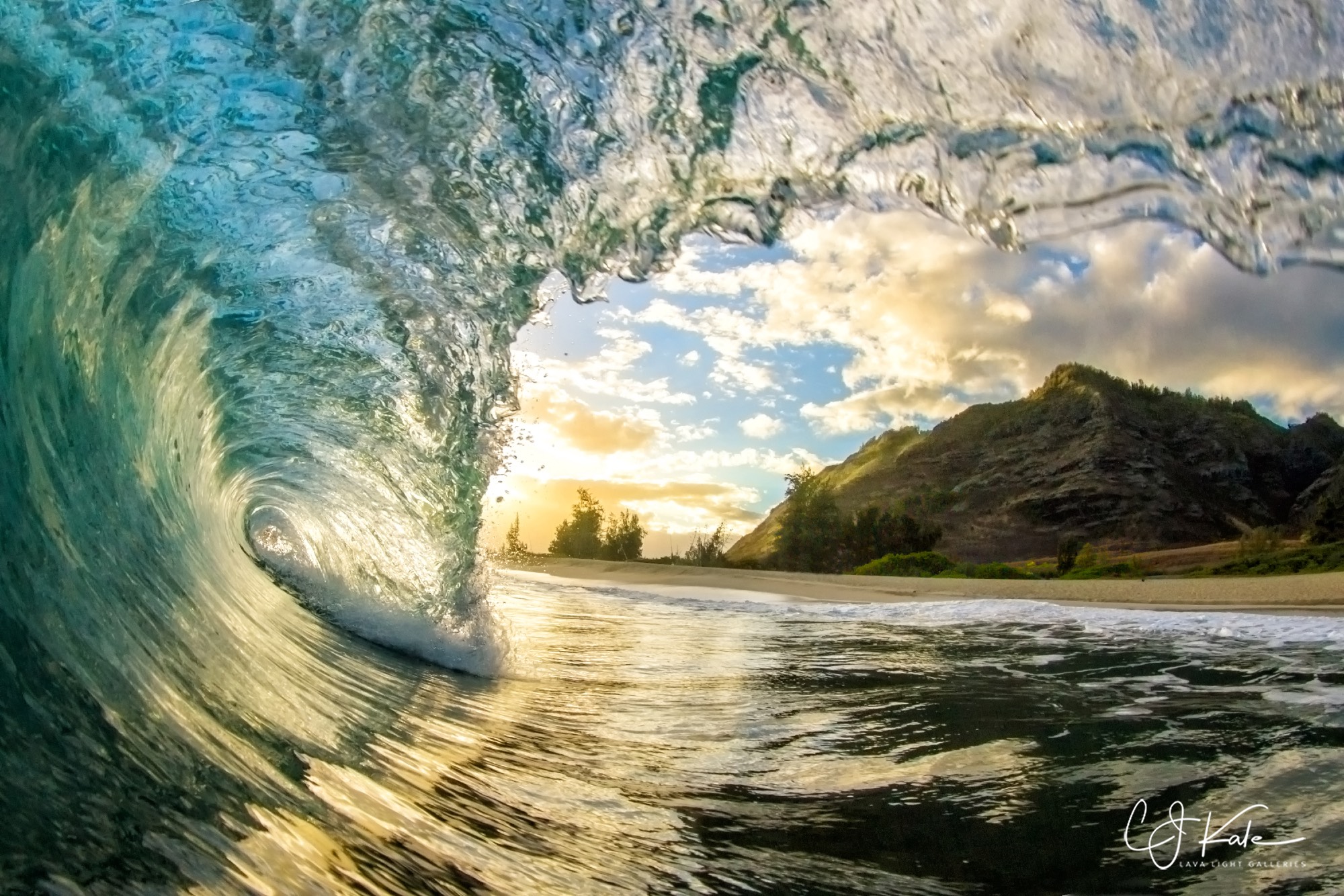 Fun in the surf.