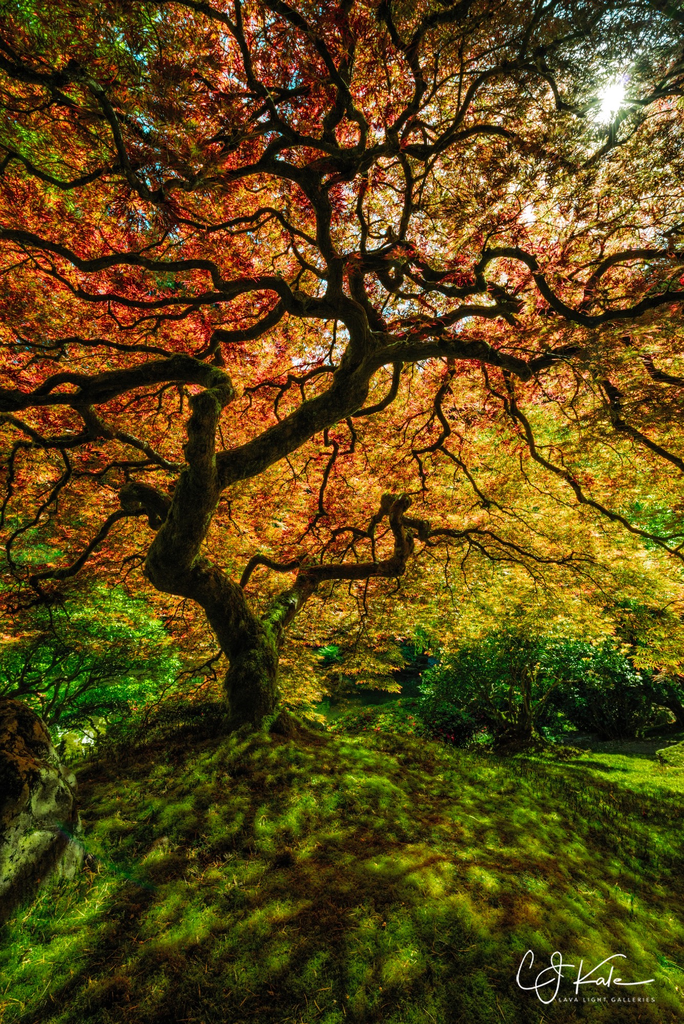 Japanese Gardens, Portland, Oregon